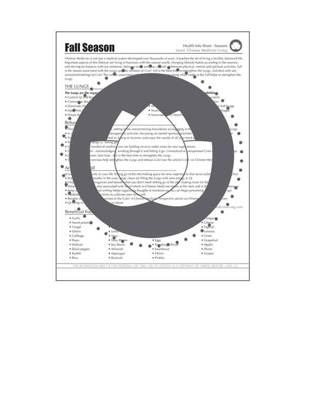 Fall Season In Chinese Medicine : Learn Chinese Medicine Living