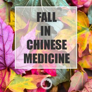 FALL SEASON