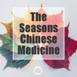SEASONS IN CHINESE MEDICINE – SET OF 4