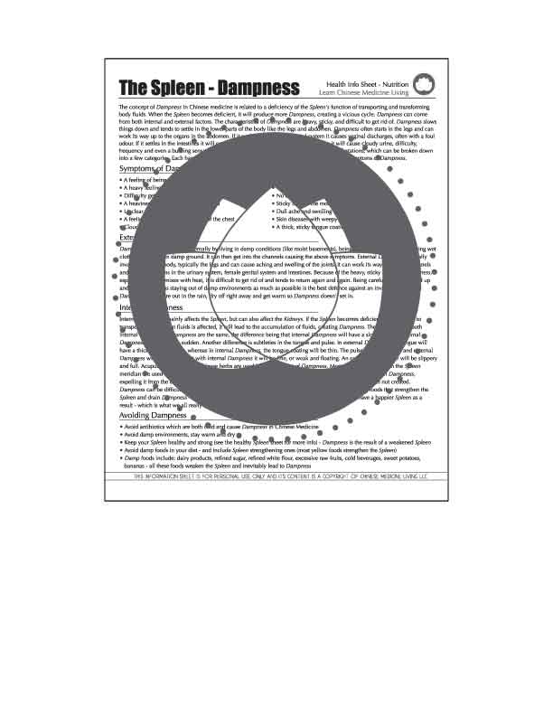 Dampness And The Spleen In Chinese Medicine