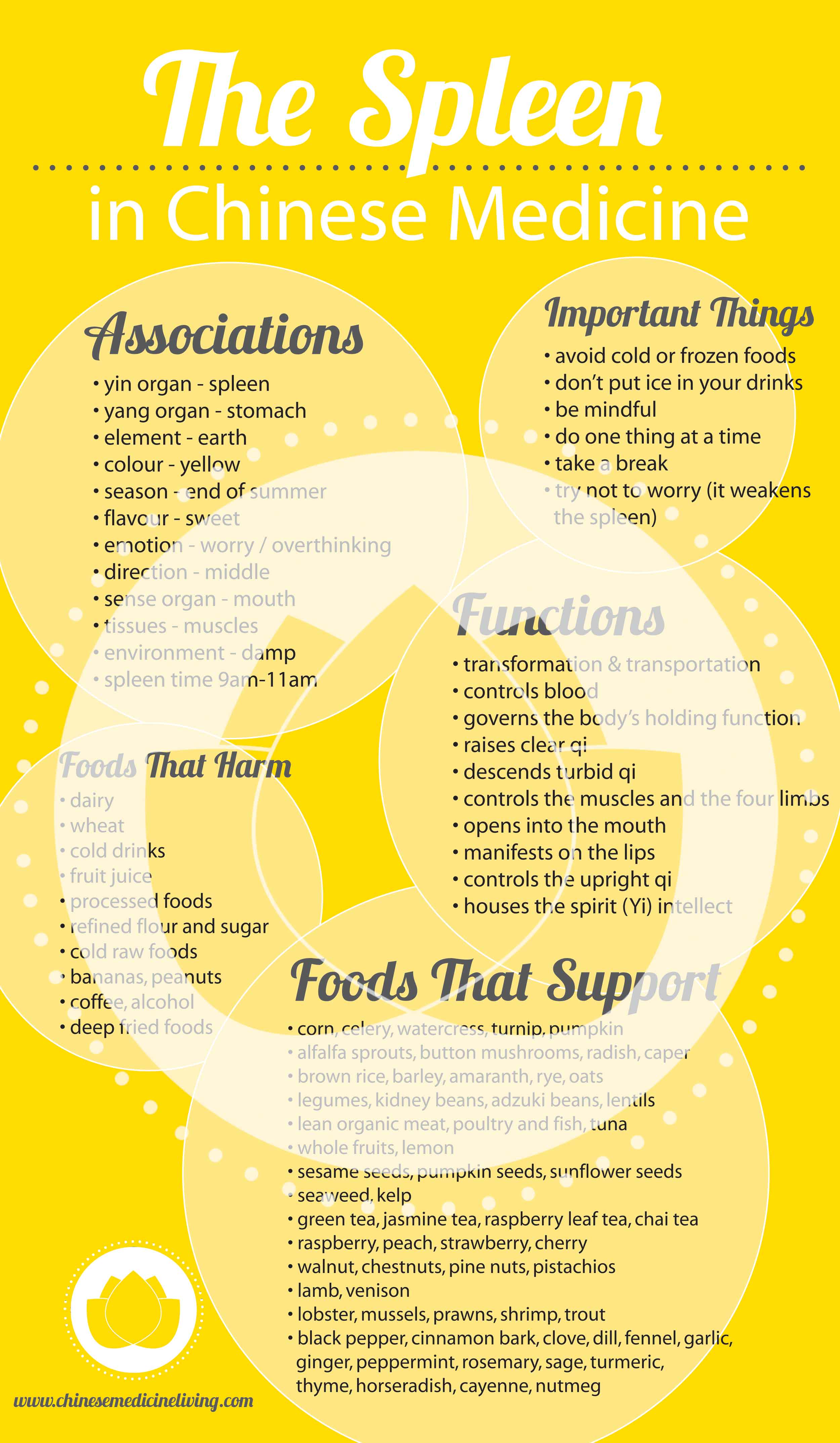 SPLEEN POSTER
