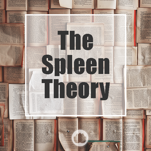 THE SPLEEN – THEORY