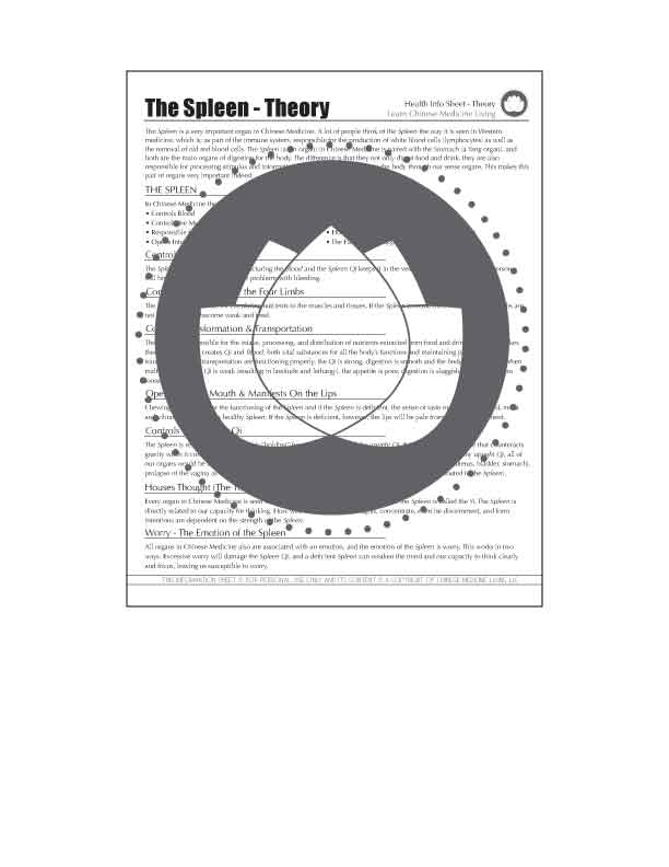 The Spleen In Chinese Medicine