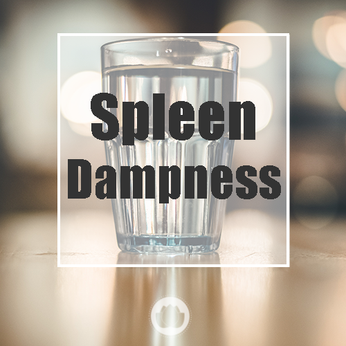 THE SPLEEN – DAMPNESS
