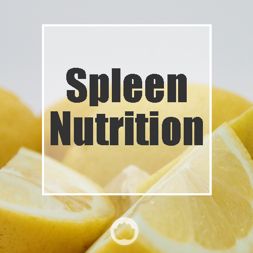 THE SPLEEN – NUTRITION