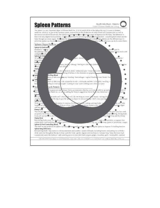 The Spleen In Chinese Medicine