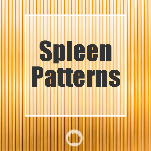 THE SPLEEN – PATTERNS