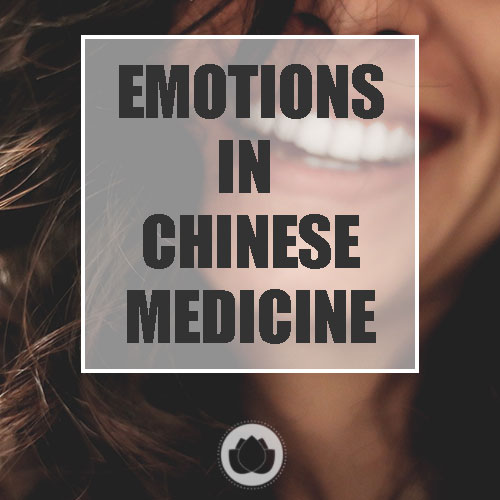 IMPORTANCE OF EMOTIONS (3 PAGES)