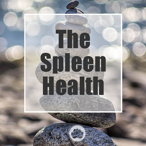 THE SPLEEN – HEALTH (3 PAGES)