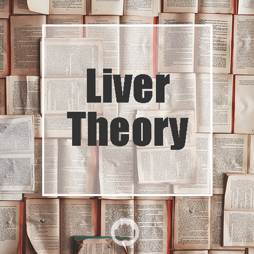 THE LIVER – THEORY (2 PAGES)