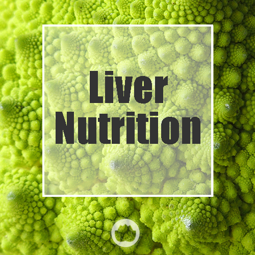 THE LIVER – NUTRITION (2 PAGES)