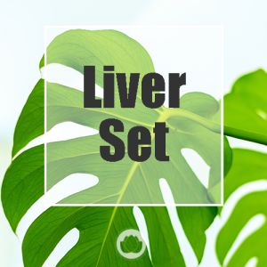 THE LIVER IN CHINESE MEDICINE – THEORY/ANGER/NUTRITION – SET OF 6 PAGES