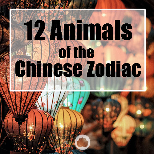 12 ANIMAL ZODIAC BOOK
