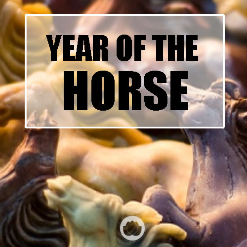 YEAR OF THE HORSE