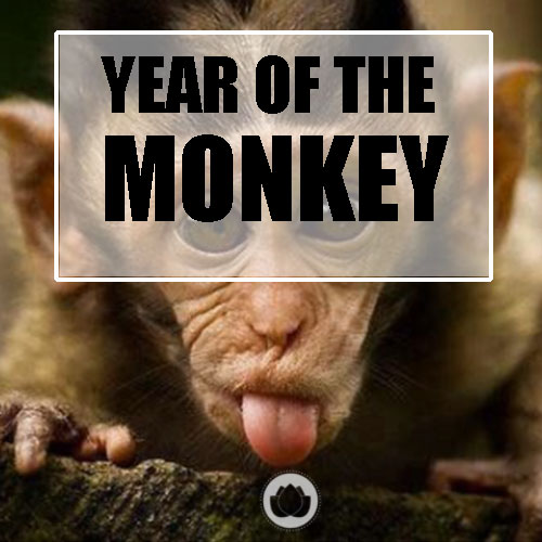 YEAR OF THE MONKEY