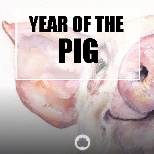 YEAR OF THE PIG