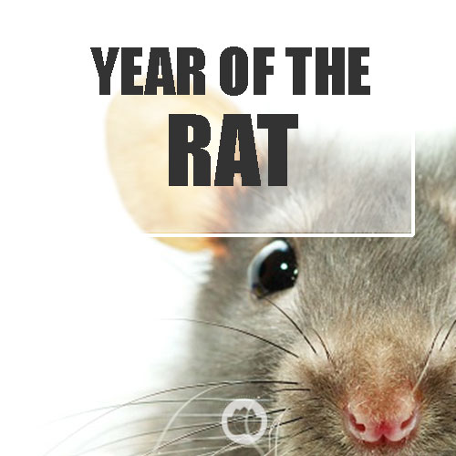 YEAR OF THE RAT
